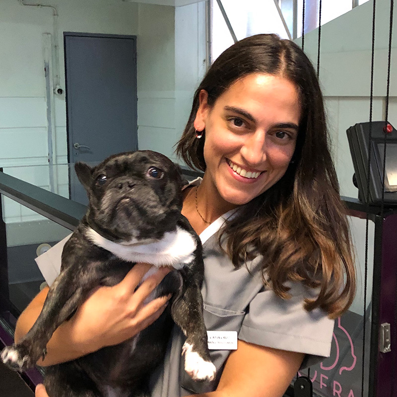 dra Catia cruz centro fisioterapia animal porto